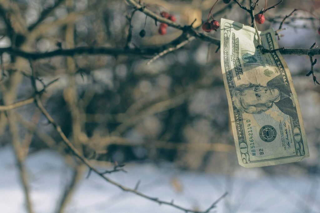 money on tree